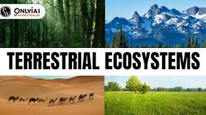 Terrestrial Ecosystem: Types, Tundra ...